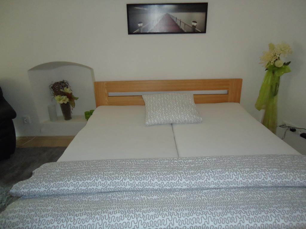 Apartment Pod Kotnovem 타보르 객실 사진