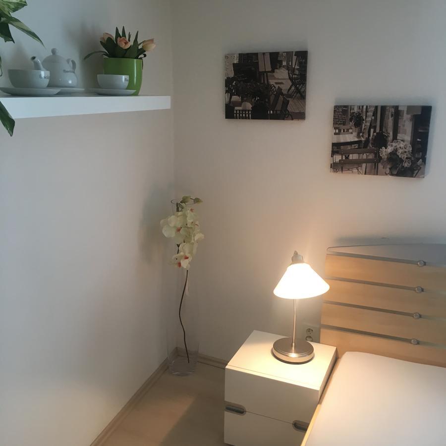 Apartment Pod Kotnovem 타보르 외부 사진