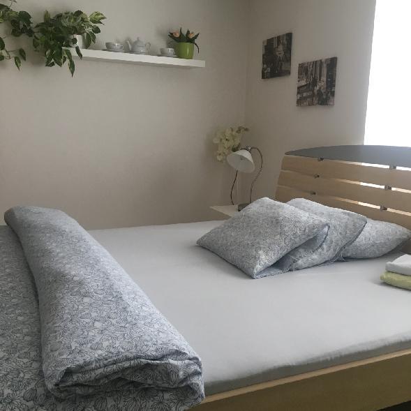 Apartment Pod Kotnovem 타보르 외부 사진